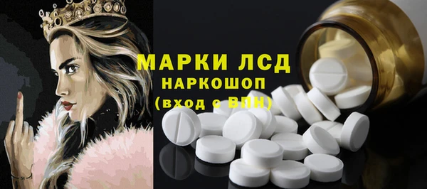 спайс Аркадак